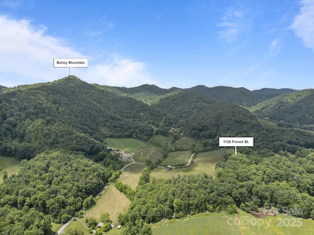 1128 Forest St, Mars Hill, NC 28754 - mountain view featuring a forest