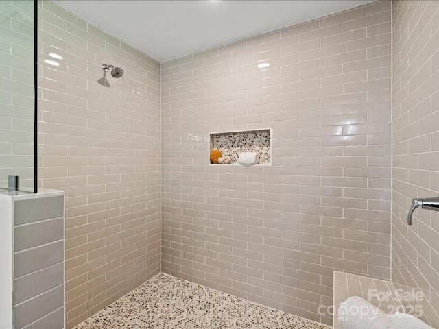 300 Hugh Crocker Rd, Matthews, NC 28104 - bathroom with tiled shower