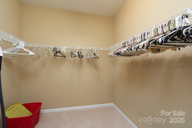 4321 Tucker Chase Dr, Midland, NC 28107 - spacious closet with carpet floors