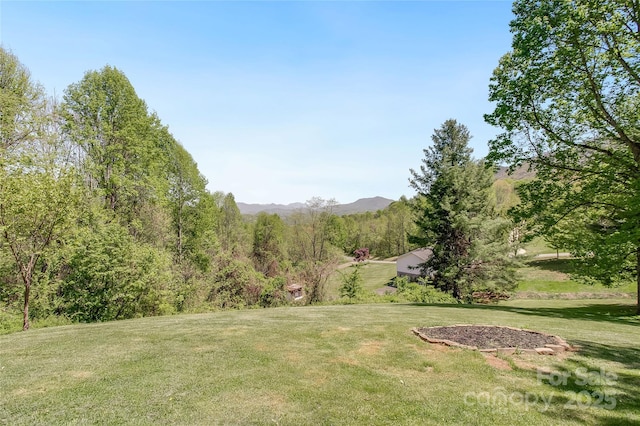 view of yard featuring a mountain view