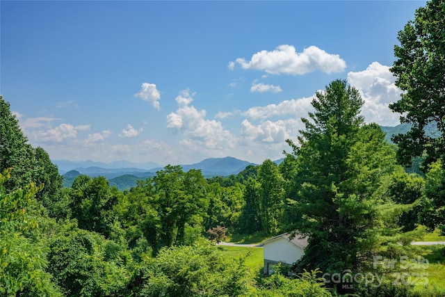 518 Acres View Dr, Waynesville, NC 28786 - photo 2