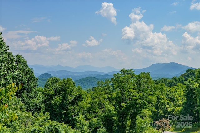 518 Acres View Dr, Waynesville, NC 28786 - photo 33