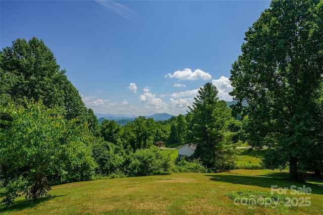 518 Acres View Dr, Waynesville, NC 28786 - photo 34