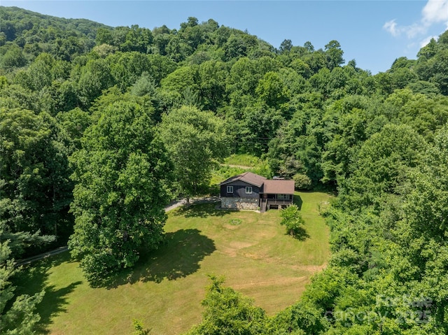 518 Acres View Dr, Waynesville, NC 28786 - photo 41