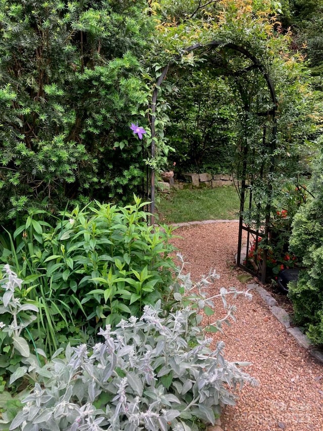 185 Macon Ave Unit 9B, Asheville, NC 28804 - view of yard