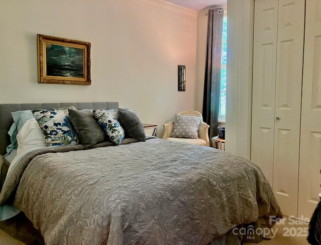 185 Macon Ave Unit 9B, Asheville, NC 28804 - bedroom featuring crown molding, multiple windows, and a closet