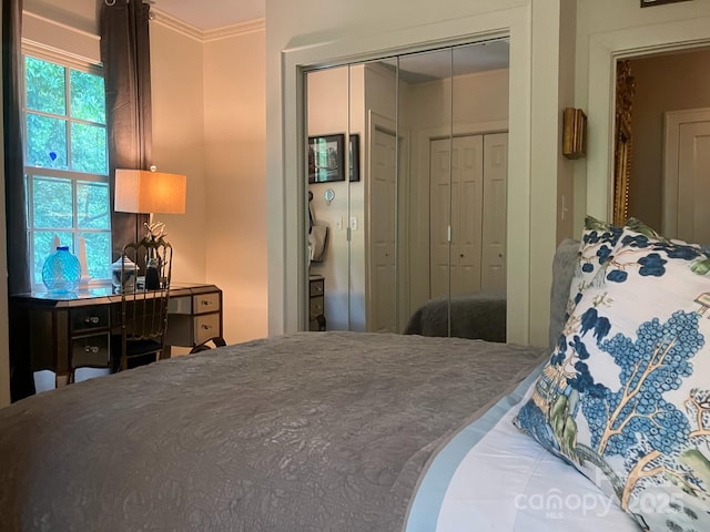 185 Macon Ave Unit 9B, Asheville, NC 28804 - bedroom with a closet