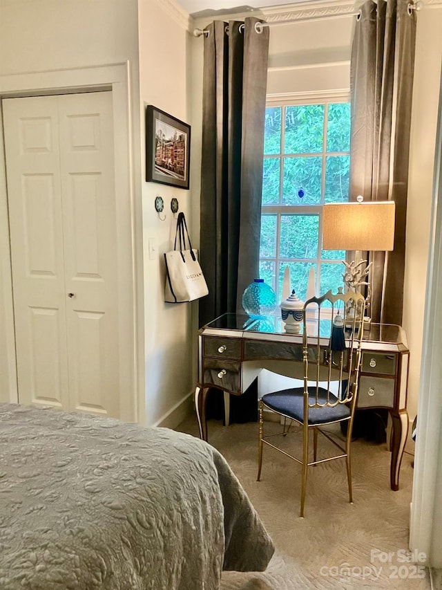 185 Macon Ave Unit 9B, Asheville, NC 28804 - bedroom featuring carpet floors, baseboards, and a closet