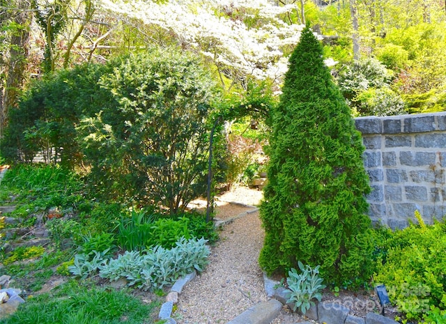 185 Macon Ave Unit 9B, Asheville, NC 28804 - view of yard