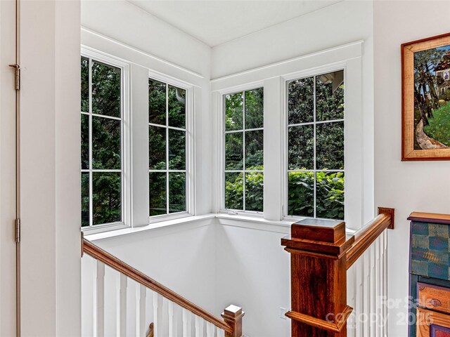82 Brookline Dr, Asheville, NC 28803 - photo 28
