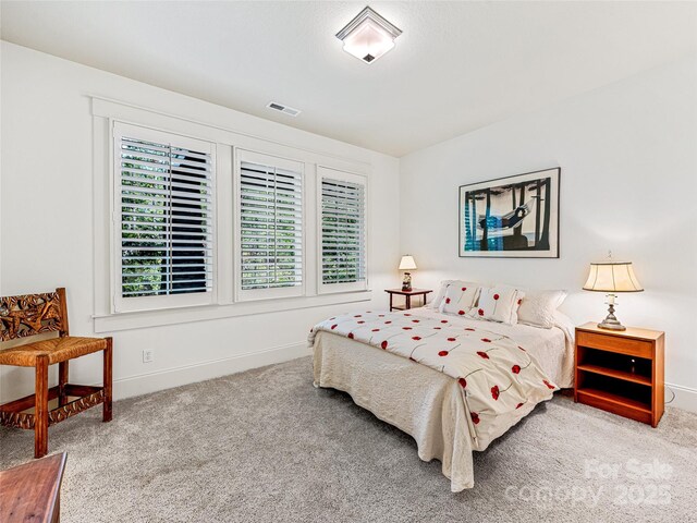 82 Brookline Dr, Asheville, NC 28803 - photo 33