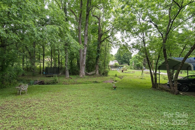 857 Hills Rd, Belmont, NC 28012 - view of yard with a trampoline