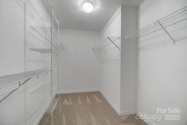 12013 Regent Ridge Ln, Charlotte, NC 28278 - walk in closet with light carpet