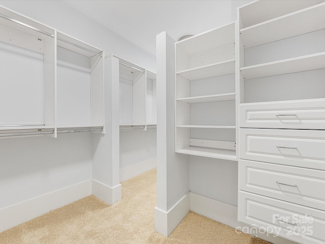 3825 Mountain Cove Dr, Charlotte, NC 28216 - spacious closet with carpet floors