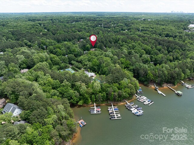3825 Mountain Cove Dr, Charlotte, NC 28216 - aerial view of a heavily wooded area and a nearby body of water