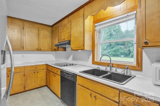 133 Jo Monni Loop, Statesville, NC 28625 - kitchen featuring black appliances, a sink, under cabinet range hood, a textured ceiling, and light countertops