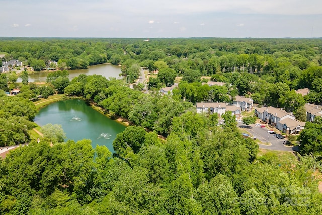 7129 Stonington Ln, Charlotte, NC 28227 - bird's eye view of a large body of water and a forest