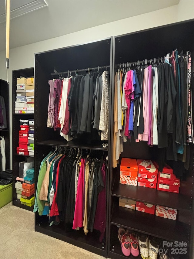 view of closet