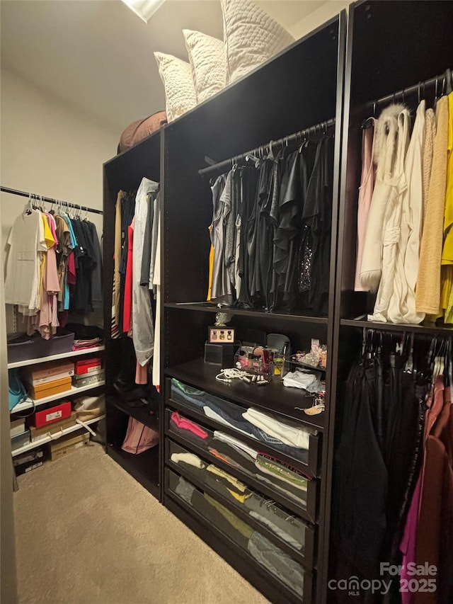 walk in closet with carpet flooring