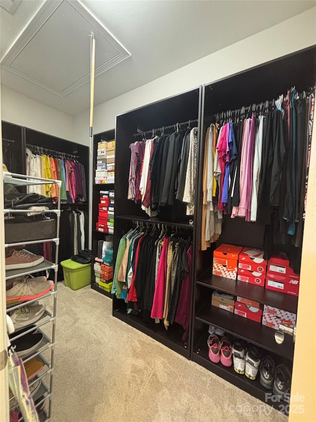 spacious closet with carpet flooring and attic access