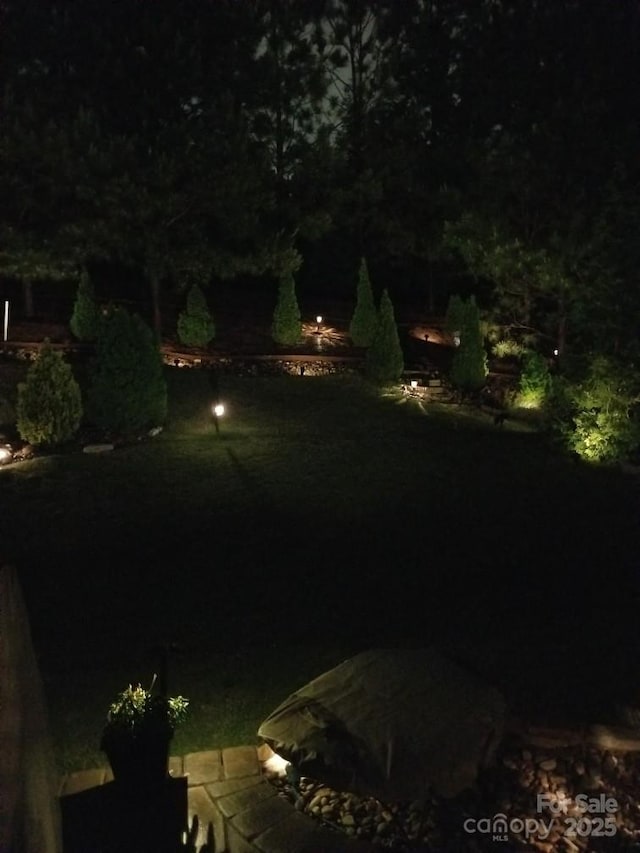 10039 St Kitts Landing Ln, Charlotte, NC 28278 - view of yard at night