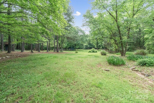 view of yard featuring a wooded view