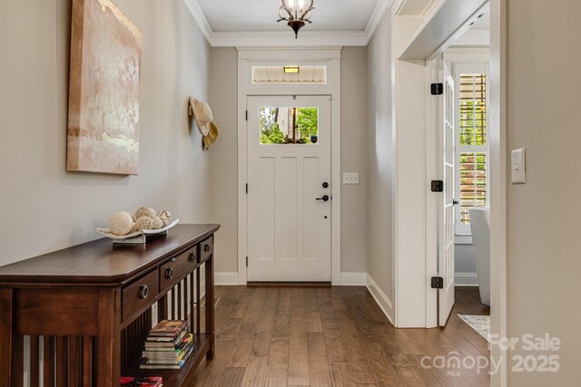 75 Balsam High Rd, Biltmore Lake, NC 28715 - doorway featuring dark wood-type flooring, crown molding, and baseboards