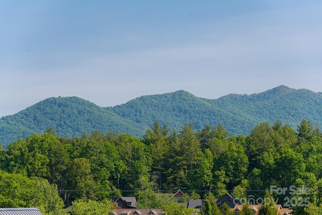 mountain view with a wooded view