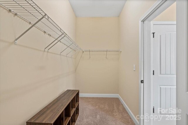 1409 Tupelo Rd, Clover, SC 29710 - spacious closet with carpet flooring