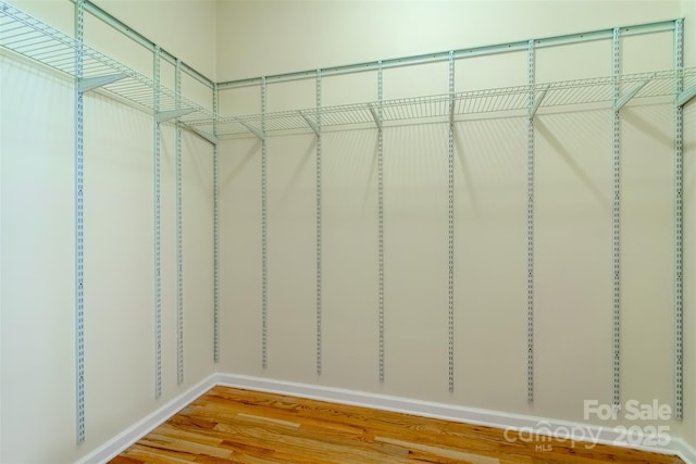 423 Baines Mountain Rd, Bryson City, NC 28713 - walk in closet featuring light wood-type flooring