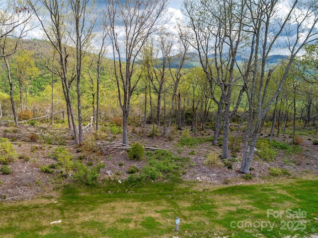 0000 E Garden Trl Unit 48, Hendersonville, NC 28792