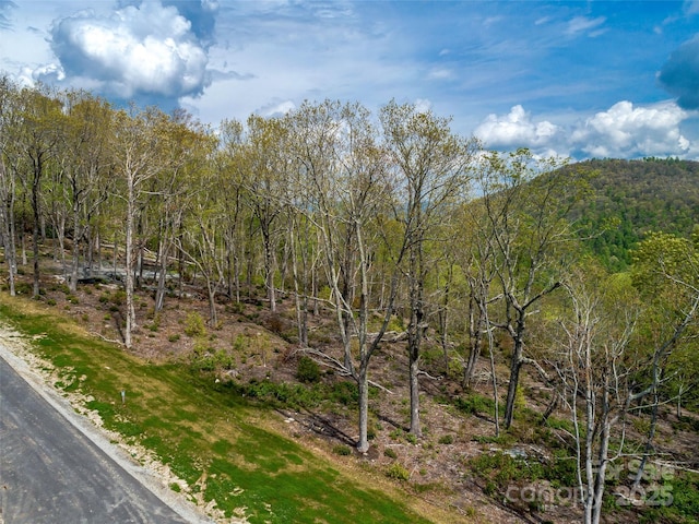 0000 E Garden Trl Unit 48, Hendersonville, NC 28792