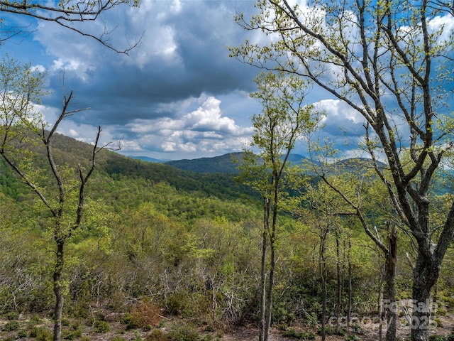 0000 E Garden Trl Unit 48, Hendersonville, NC 28792