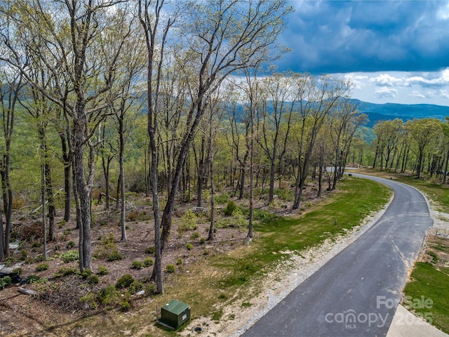 0000 E Garden Trl Unit 48, Hendersonville, NC 28792