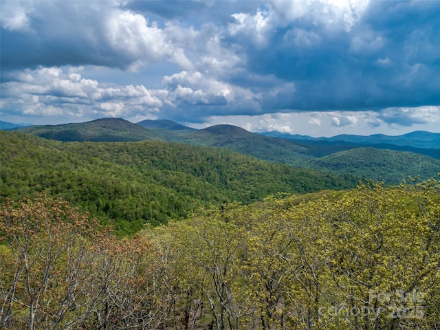 0000 E Garden Trl Unit 48, Hendersonville, NC 28792
