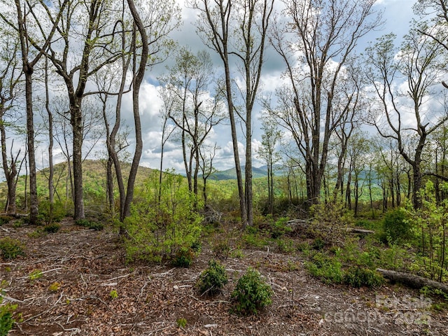 0000 E Garden Trl Unit 48, Hendersonville, NC 28792