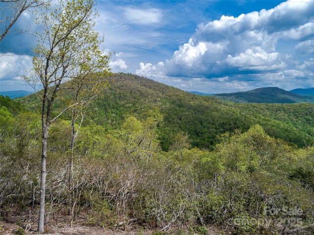 0000 E Garden Trl Unit 48, Hendersonville, NC 28792