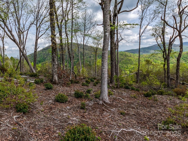 0000 E Garden Trl Unit 48, Hendersonville, NC 28792