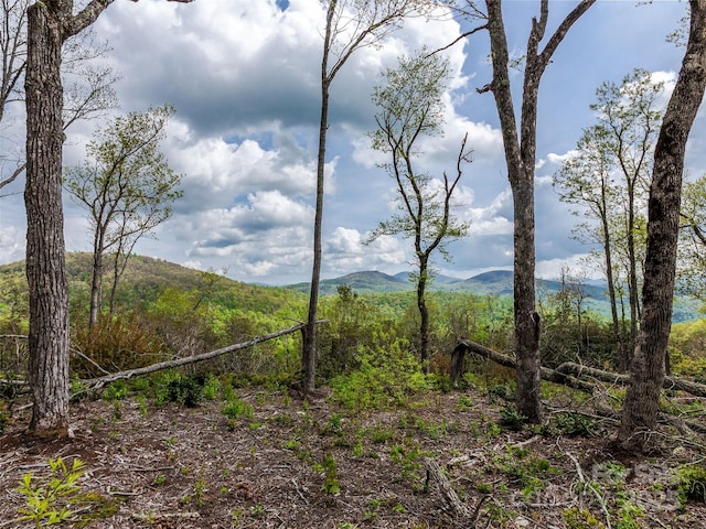 0000 E Garden Trl Unit 48, Hendersonville, NC 28792