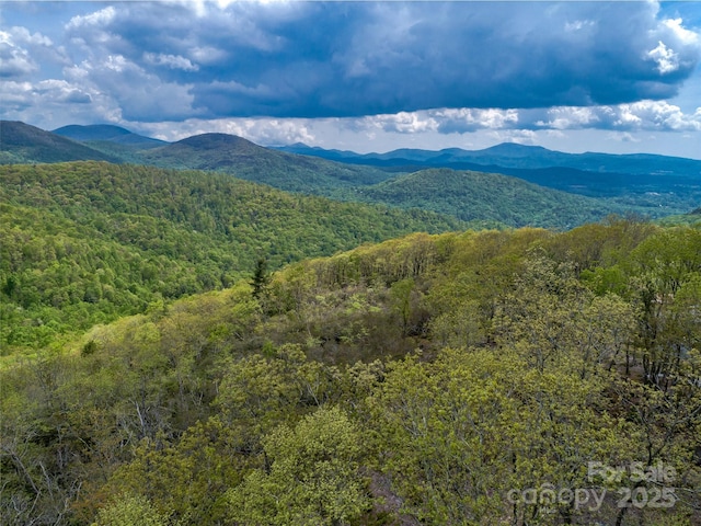 0000 E Garden Trl Unit 48, Hendersonville, NC 28792