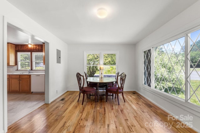 dining area with light wood-style floors and plenty of natural light