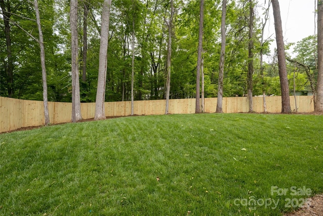 15 Myrtle Lee Cv, Arden, NC 28704 - view of yard