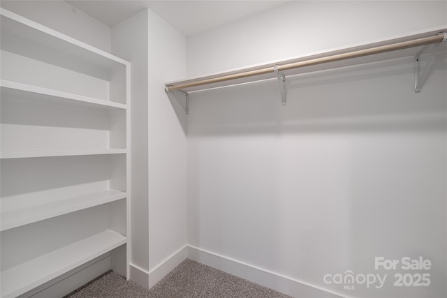 15 Myrtle Lee Cv, Arden, NC 28704 - walk in closet featuring carpet