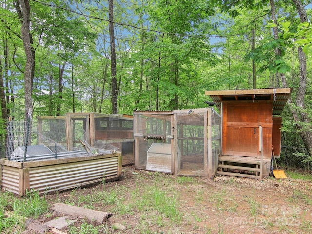view of poultry coop