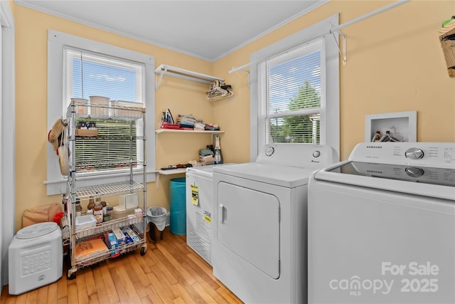 washroom featuring washing machine and dryer, laundry area, ornamental molding, and a wealth of natural light