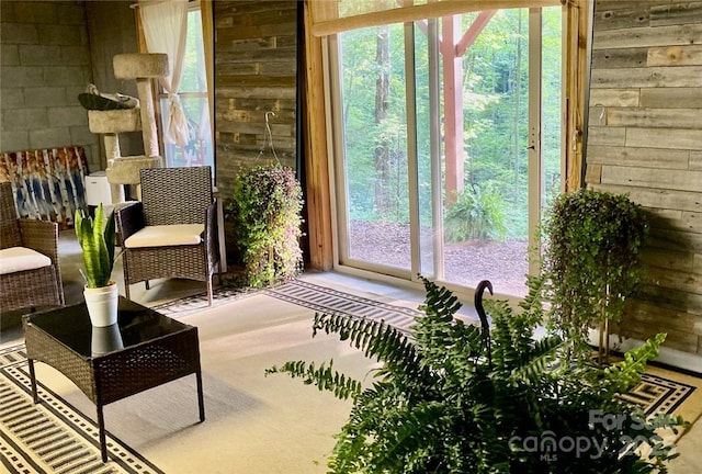 37 Lonnie Mack Dr, Nebo, NC 28761 - photo 20