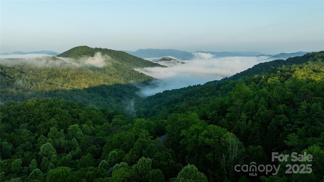 00 Upper Dalton Creek Rd, Franklin, NC 28734