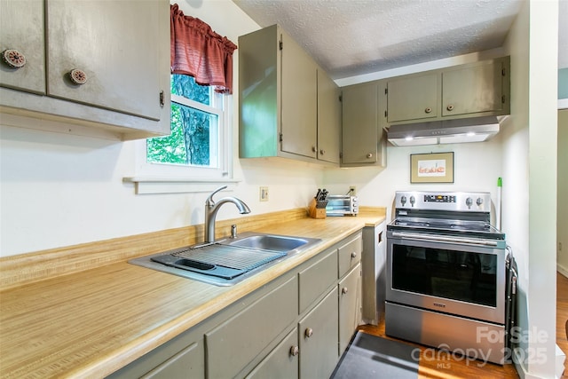 70 Lake Sega Cir, Brevard, NC 28712 - kitchen with under cabinet range hood, stainless steel electric range, a sink, light countertops, and gray cabinets