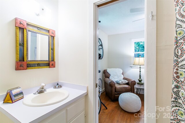 70 Lake Sega Cir, Brevard, NC 28712 - bathroom featuring vanity and wood finished floors