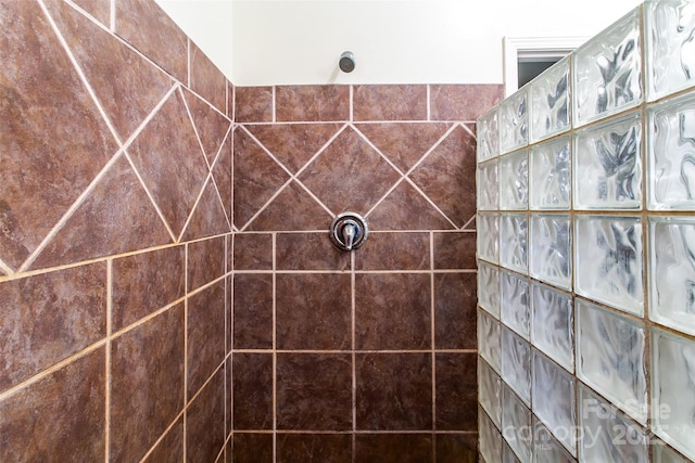 70 Lake Sega Cir, Brevard, NC 28712 - bathroom with a tile shower